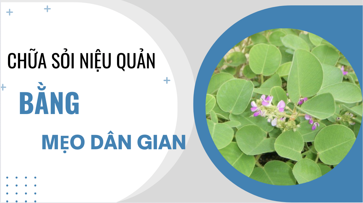 Chữa sỏi niệu quản bằng mẹo dân gian